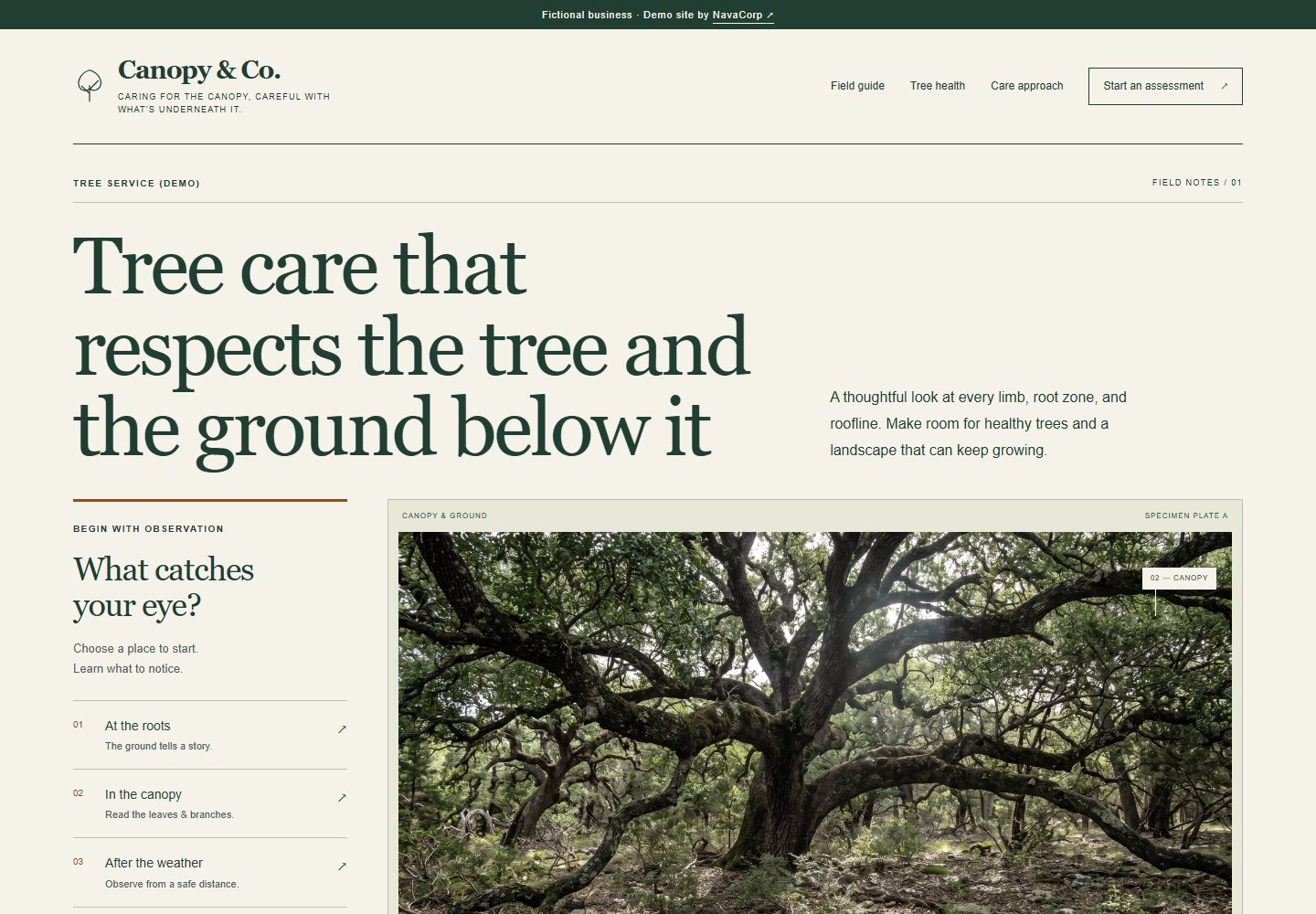 Homepage preview of the Canopy & Co. demonstration website